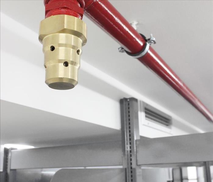 brassheaded, red pipe fire suppressant system